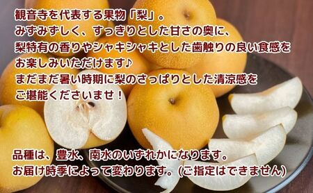 【2025年先行予約】特秀品！観音寺の梨（豊水・幸水）約2kg 果物 フルーツ  デザート おやつ 食後 国産 日本産 産地直送 みずみずしい シャキシャキ 