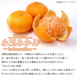 愛媛県西予市産　小玉みかん　3kg
