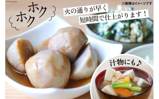 【期間限定発送】 里芋 赤芽 4kg [甲斐自然派農園 宮崎県 日向市 452060524] さといも ホクホク