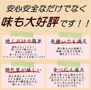 【全6回定期便】骨無し 無添加 銀シャケ 切身 約800g（200g×4パック 16枚） 【tkb325A】