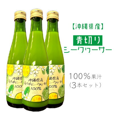 【ふるさと納税】沖縄県産青切りシークヮーサー100％果汁（3本セット） 沖縄県 沖縄 青果 果実 フレッシュ 瓶 シークァーサー 本部町 本部 ギフト プレゼント 贈答 贈り物 おすすめ 人気 敬老の日 お土産 健康 ジュース 飲み物