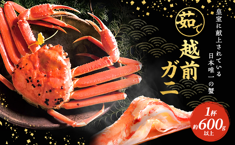 期間限定 茹で 越前ガニ 約600g以上 1杯 年内届け 食通もうなる本場の味をぜひご堪能ください 茹でガニ 越前カニ 越前蟹 ズワイガニ カニ 蟹 ボイルカニ ボイル蟹 魚介 海鮮 限定 福井 福井