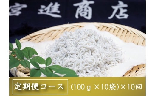 定期便 10ヶ月  鮮度抜群 海の玄米 子供用 釜揚げ しらす 1kg 個包装 計 10kg 新鮮 シラス 熨斗 贈答 10回 高知県産 しらす ちりめん じゃこ しらす丼 しらす 定期便 MS2000