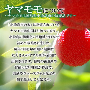 菓子 やまももパイ 12個入り 個包装 常温 国産 徳島県 名菓 焼き菓子 洋菓子 和菓子 ケーキ お中元 ギフト 贈答用 【北海道･沖縄･離島・東北への配送不可】 