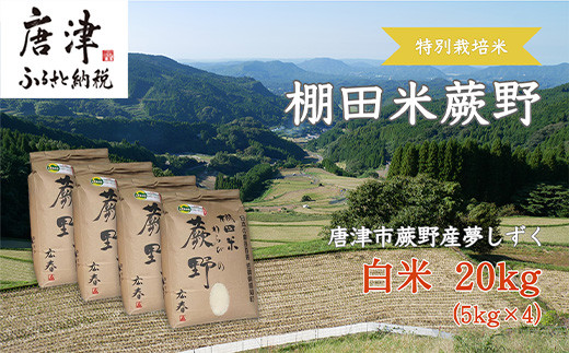 『先行予約』【令和7年産新米】特別栽培棚田米「蕨野」5kg×４袋(合計20kg) 家庭排水が一切入らない自然水で作られたお米 10日に1回精米で新米のような味わい