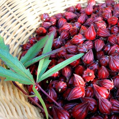 ふるさと納税 座間味村 座間味村産 ハイビスカス ブレンドティー(2g×5包)&ハイビスカスジャム2個(100g×2個) |  | 03