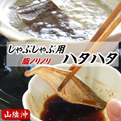 ふるさと納税 新温泉町 選りすぐり使用　とろハタハタしゃぶしゃぶ用　3パック