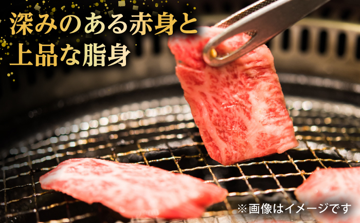 【全12回定期便】五島牛 焼肉セット 肩ロース・バラ 700g / 長崎和牛 牛肉 焼肉 BBQ ギフト