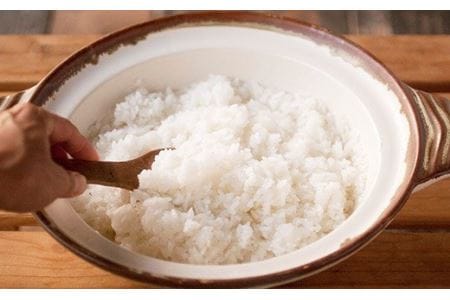 【令和7年産】 七城のこめ 精米 計15kg（5kg×3袋）ヒノヒカリ 《30日以内に出荷予定(土日祝を除く)》 白米 九州産 熊本県産