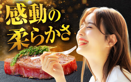 【6回定期便】＜A5ランク＞飛騨牛ヒレステーキ180g×4枚 計720g 総計4.32kg【有限会社マルゴー】土岐市 岐阜産 肉 お肉 牛肉 国産 和牛 牛肉 A5等級 霜降り 赤身 鉄板焼き BBQ