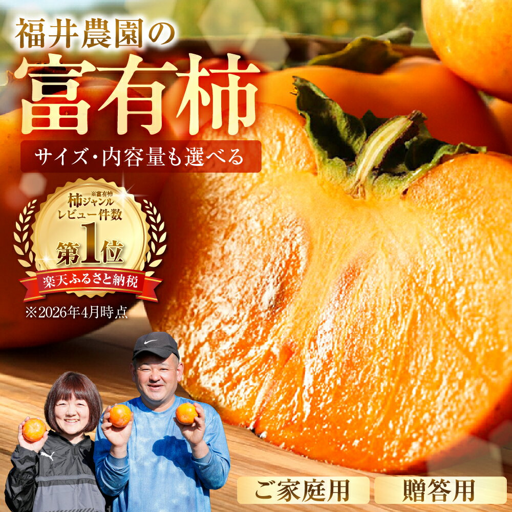【ふるさと納税】【先行予約】《 訳あり 》 富有柿 約3kg or 約6kg or お試し 8個 約1.3kg [mt028] ｜富有柿 かき フルーツ 柿 かき 果物 訳あり訳アリ 規格外 ご家庭用 ちょうど わけあり 不揃い ふぞろい フルーツ 本巣市 10000円 1万円 7000円 5000円 5千円 福井農園