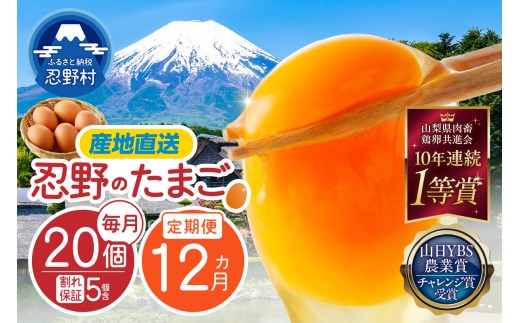 【12ヶ月定期便】富士山の麓で育った産地直送 ”忍野の卵”（毎月20個×12回）※割れ保証含む　[卵 定期便 定期 国産 産地直送 毎月 生卵 玉子 たまご 卵かけご飯 卵焼き 親子丼 目玉焼き すき焼き オムライス オムレツ スイーツ作り 料理 調理 人気 鶏卵 鶏 新鮮 12ヵ月 12か月 山梨県 忍野村]