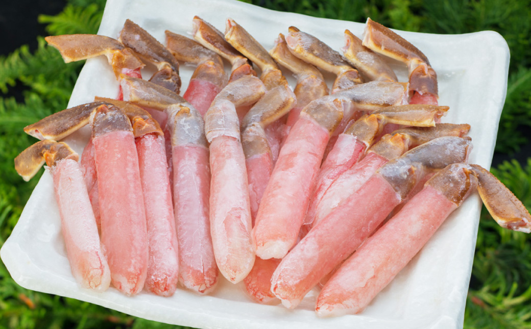【食べ応え十分！！】生ズワイガニしゃぶしゃぶ用ポーション500g ふるさと納税 かに 蟹 _F4F-0558