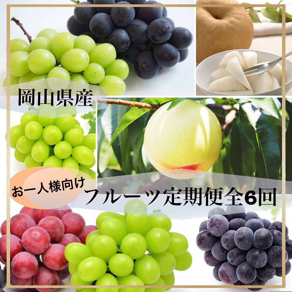 【ふるさと納税】【全6回定期便】岡山県産 フルーツ定期便 ＜お一人様向け＞ 岡山白桃 ニューピオーネ シャインマスカット 晴王 あたご梨 化粧箱入り もも モモ ぶどう 葡萄 フルーツ くだもの 果物 果実 デザート 国産 送料無料 【2026年7月上旬～12月下旬迄発送予定】