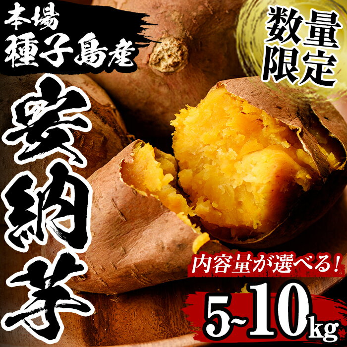 【ふるさと納税】＜先行予約受付中！2026年10月中旬頃より順次発送予定＞数量限定！内容量が選べる！種子島産 安納芋(5kg or 10kg) 国産 安納芋 本場 種子島 芋 イモ いも さつまいも さつま芋 安納いも 野菜【永濱農園】