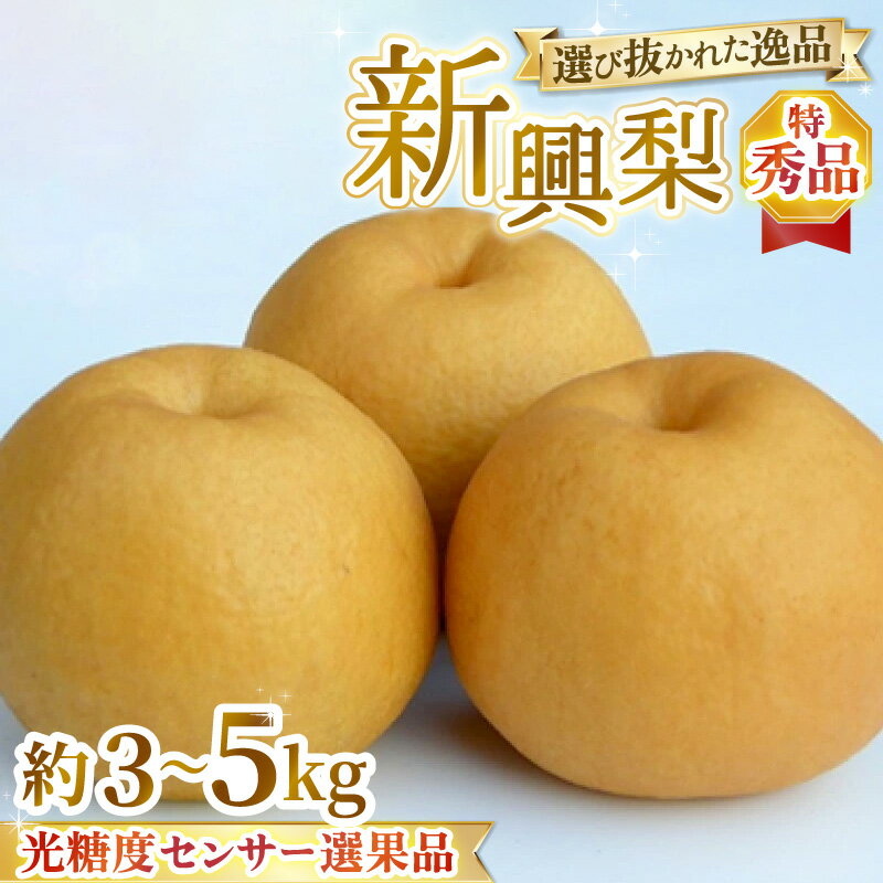 【ふるさと納税】【先行予約】特選大玉 新興梨『特秀品』選び抜かれた逸品 3kg 5kg 光糖度センサー選果品 ※2026年10月中旬より順次発送