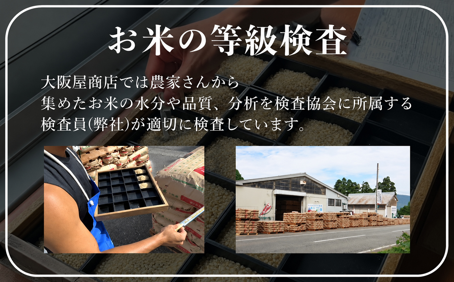 令和8年産 魚沼産コシヒカリ 特別栽培米 津南町認証米 10kg(5kg×2袋) 129404-019