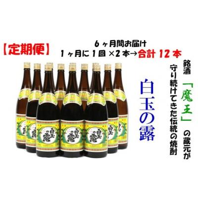 ふるさと納税 錦江町 【定期便:魔王の姉妹焼酎】&lt;白玉の露&gt; 1升瓶×2本 6ヶ月定期配送(TK-001-1)