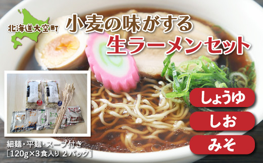 
小麦の味がする生ラーメンセット（細麺・平麺・スープ付き）120g×3食入り２パック ふるさと納税 ラーメン 拉麺 らーめん スープ セット 麺 細麺 平麺 味噌ラーメン 塩ラーメン 醤油ラーメン 北海道 大空町 送料無料 OSR004
