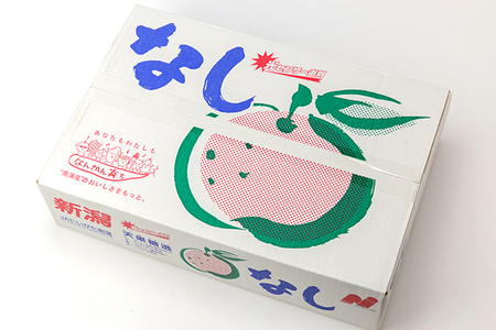 【2024年先行予約】「天果糖逸（てんかとういつ）」新潟県産和梨 新興 約5kg（6～8玉）《10月下旬～配送予定》 しんこう 果物 フルーツ 冬の味覚 産地直送 加茂市 えちご中越農業協同組合