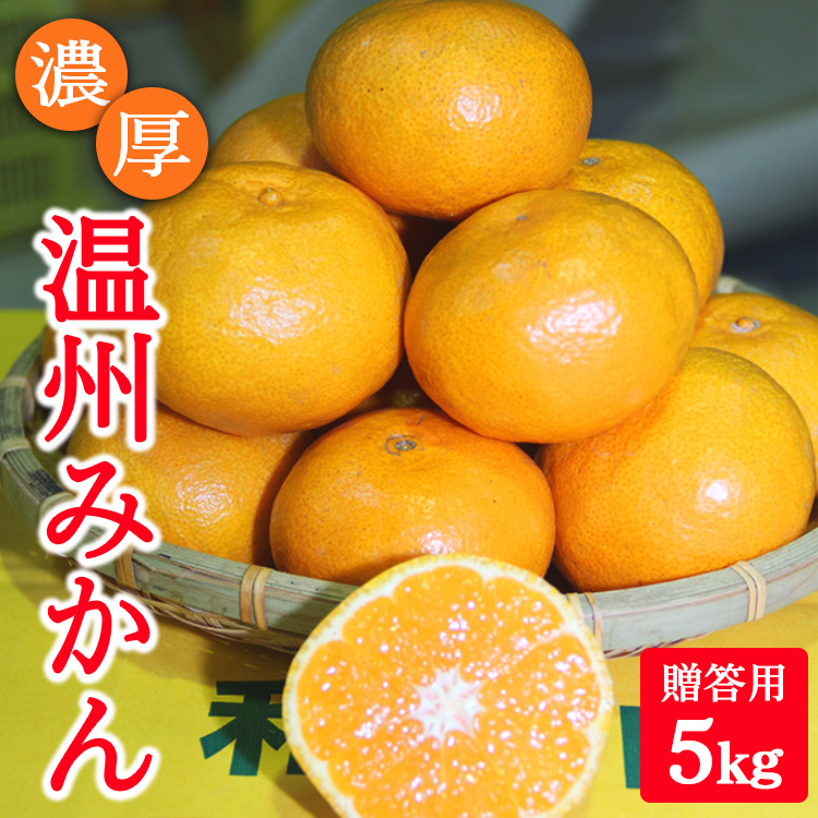 濃厚温州みかん贈答用5kg（和歌山天田みかん）◆ みかんの産地和歌山　北村農園直送 ※2025年12月上旬頃より順次発送予定