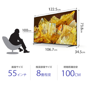 ソニー BRAVIA 55型 4K液晶テレビ(設置含む) XRJ-55X90L [0171]