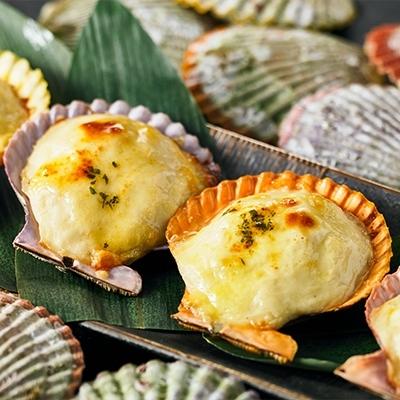 ふるさと納税 海士町 【のし付き】ひおうぎ貝ドリアセット70g×7個 オリジナルベシャメルソース ドリア CAS冷凍 |  | 01