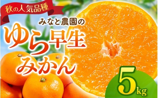 
                  【数量限定】みなと農園のゆら早生みかん  約5kg 2S～Lサイズ混合 【2026年10月中旬頃〜順次発送】 みかん ミカン 蜜柑 温州みかん 温州ミカン 由良早生 柑橘 フルーツ 果物 くだもの 早生 甘い 旬 人気 産地直送 三重県 熊野市【mntf0007】
                