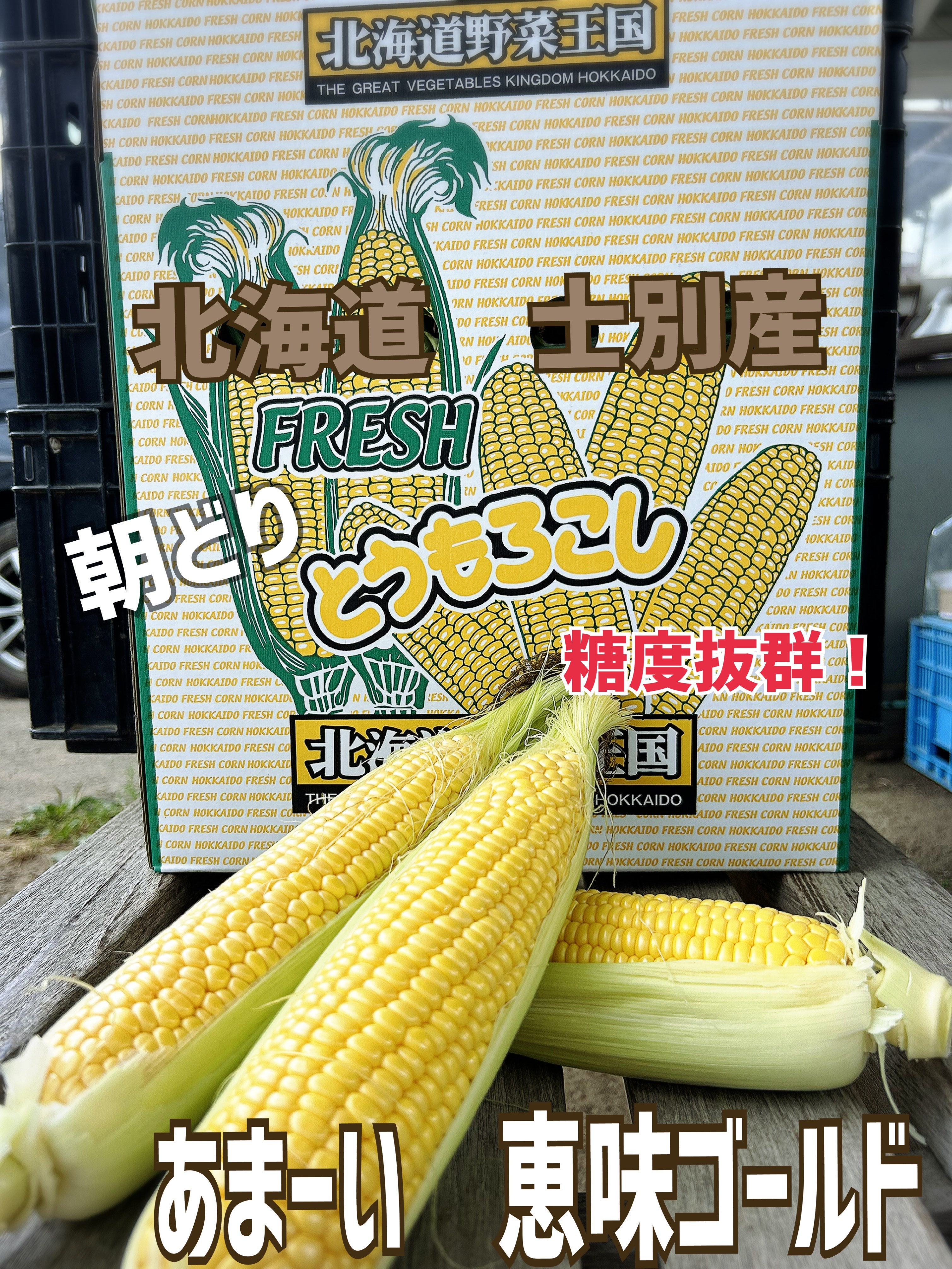 
            【B7018】＜数量限定＞北海道士別市産 朝採りスイートコーン(10本) 【2025年8月中旬以降順次発送】スイートコーン とうもろこし 恵味ゴールド 期間限定 とうきび 旬 野菜 甘い 北海道産 士別市産 国産 新鮮野菜 【ネオアグリプロジェクト株式会社】
          