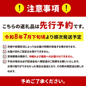 甘くて 果肉 たっぷり！ 大岩 こだま スイカ 1玉 「 神秘の里 大岩郷 よりお届け 長州の紅い宝石 」 先行予約 ＜ 2026年 7月下旬 ～ 8月頃 発送予定 ＞