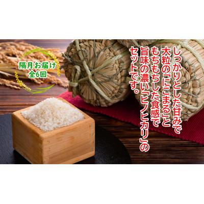 ふるさと納税 本山町 【2ヵ月毎定期便】土佐天空の郷 2kg食べ比べセット定期便 隔月お届け 全6回 |  | 01