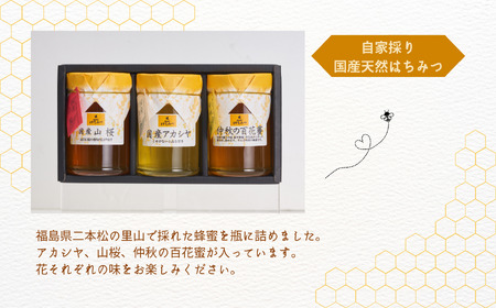 自家採り国産天然はちみつ 3本セット(220g×3)【渡辺養蜂場】