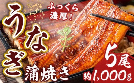 RZ001 お魚屋さんのうなぎ蒲焼 約1000ｇ（5尾）ウナギ ふっくら肉厚 大容量