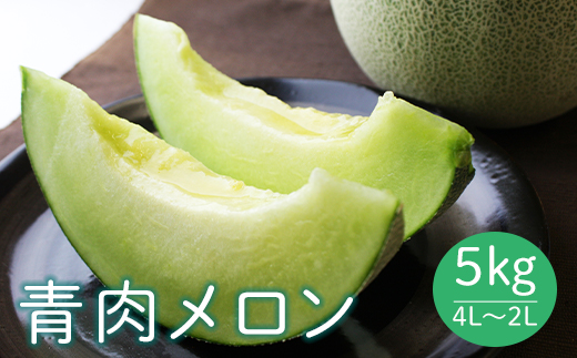 《先行予約 2025年度発送》 山形県産庄内メロン5kg【青肉メロン】4L～2Lサイズ  青肉メロン メロン 青肉 デザート フルーツ 果物 くだもの 果実 食品 山形県 FSY-0398