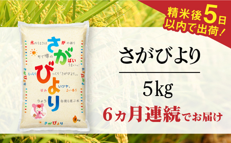 【全6回定期便】令和6年産 さがびより 白米 計30kg（5kg×1袋×6回） / 佐賀県 / 株式会社森光商店 [41ACBW029]