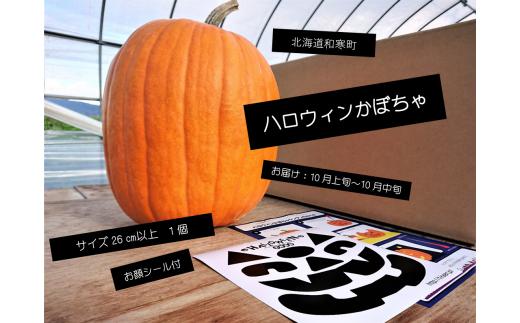 
【ふるさと納税】≪令和6年10月お届け≫ハロウィンかぼちゃ
