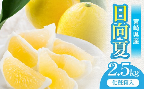 《2026年発送》【数量・期間限定】宮崎県産日向夏2.5kg　化粧箱入り_M359-005