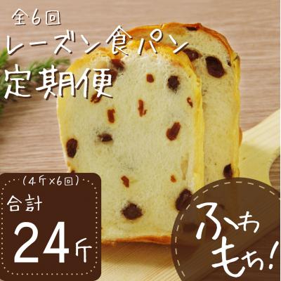 ふるさと納税 室戸市 【6回定期便】レーズン食パン4斤×6回