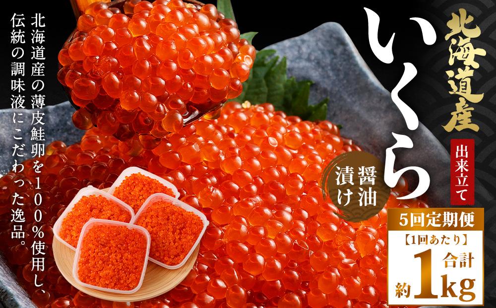 【5回定期便】北海道産 出来立て いくら醤油漬け 約250g×4パック(合計 約1kg) いくら イクラ