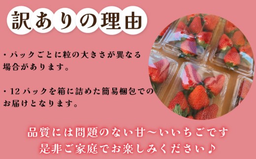 《2月から順次発送》 先行予約 訳あり いちご やよいひめ 12パック 苺 ストロベリー 果物 フルーツ ケーキ ゼリー ジュース アイス シャーベット チョコ フルーツサンド いちご大福 大福 洋菓