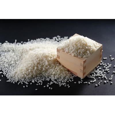 ふるさと納税 行方市 <パックご飯>JAのごはん　茨城県産コシヒカリ使用　200g×36個 |  | 01