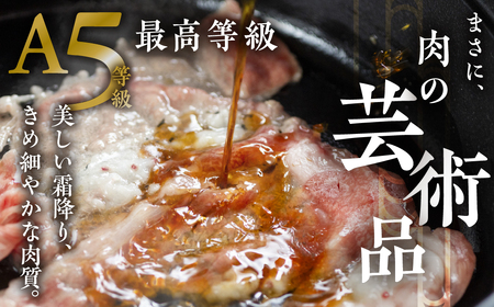 [A5等級] 飛騨牛肩ロースすき焼き・しゃぶしゃぶ用600g [0840]