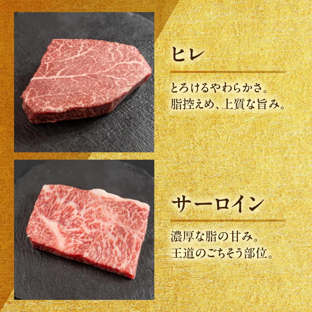 飛騨牛 希少部位食 5種 食べ比べステーキセット（各100g）計500g （サーロイン・ヒレ・ランプ・イチボ・トモサンカク）【22-51】