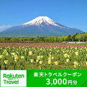 【ふるさと納税】山梨県山中湖村の対象施設で使える楽天トラベルクーポン 寄附額 10,000円