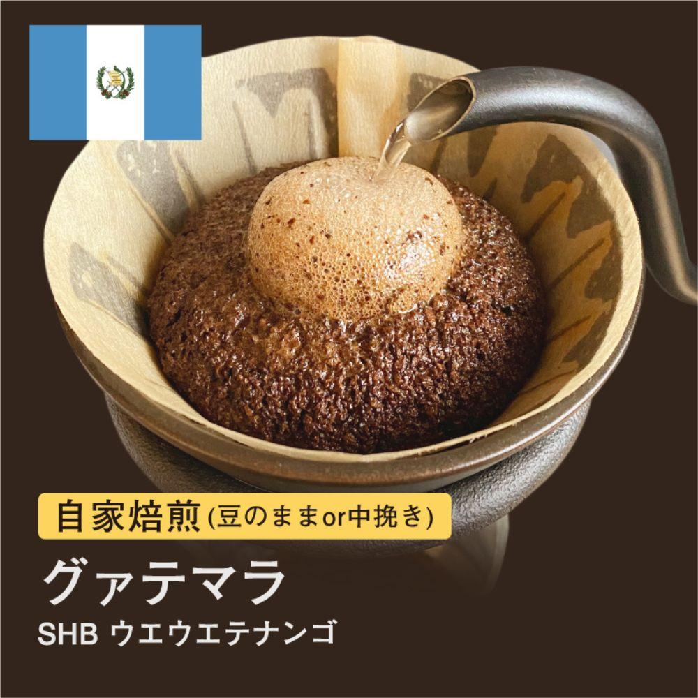 【粉】#004 グァテマラ SHB ウエウエテナンゴ コーヒー豆 310g 自家焙煎 大山珈琲