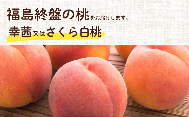 No.2689福島桃シーズン最後の桃　晩成桃　約3kg【2025年発送分】