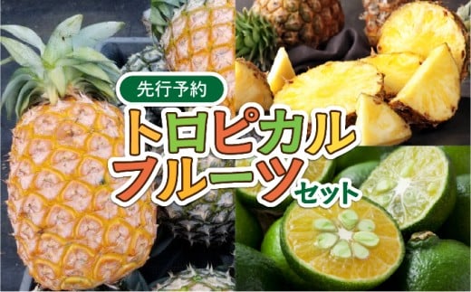 2026年 先行予約 トロピカルフルーツ セット パイン シークワーサー ☆西表島ふる～つらんど☆ 果物 フルーツ 026-a006_2026