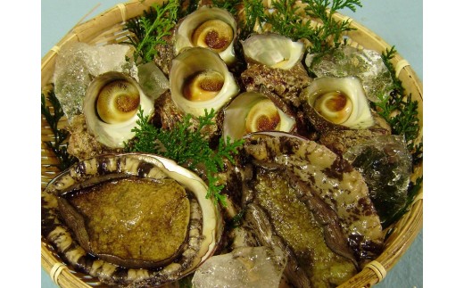 OM-09　サザエ（1kg）とアワビ（300ｇ）セット（生）