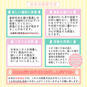 【令和6年産新米予約】あきたこまち・ひとめぼれ白米食べ比べセット(計20kg) FY24-125