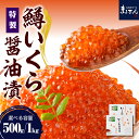 【ふるさと納税】《レビューキャンペーン》 鱒 いくら 醤油漬 (選べる 250g × 2箱 / 4箱 )/ いくら イクラ 鱒いくら 鱒イクラ ます マス 醤油漬け 鱒卵 鮭卵 魚卵 いくら丼 イクラ丼 魚 魚介類 魚介 海鮮 海の幸 海産物 加工品 北海道 えりも町